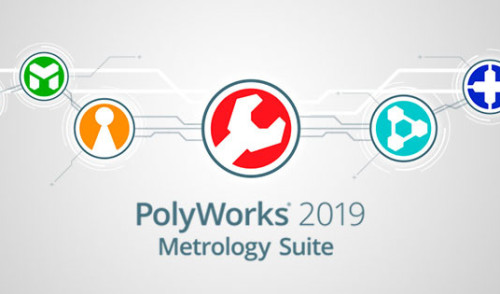 PolyWorks Collaborative Suite 2019